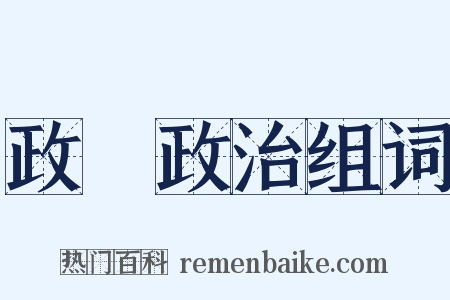 政黨政治组词是什么意思的图片